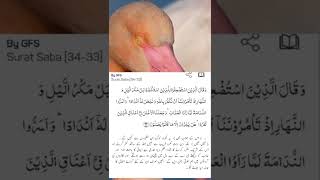 Download lagu Surat-Saba 34-33 #quran #islam #allah #alquran #goldenword mp3 Download lagu Surat-Saba 34-33 #quran #islam #allah #alquran #goldenword mp3