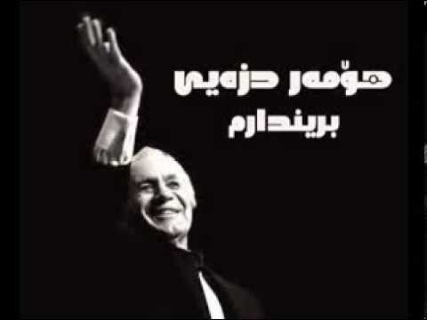 Omer dizayee - Brindarm