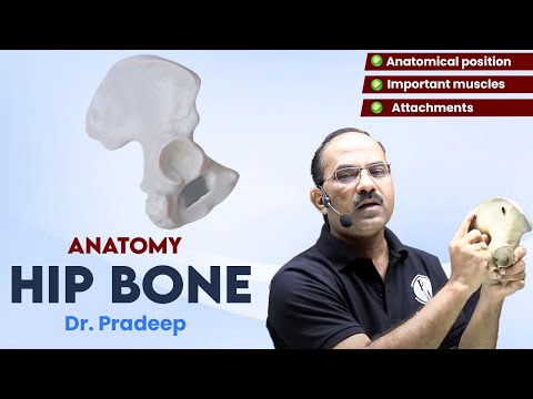 Hip Bone | Anatomy | Hard Parts Made Easy with Dr. Pradeep Pawar | PW MedEd
