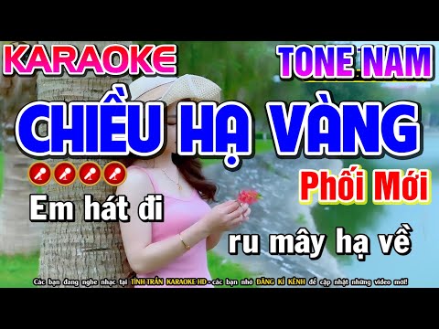 Chiều Hạ Vàng Karaoke Nhạc Sống Tone Nam ( BẢN PHỐI HAY NHẤT ) - Tình Trần Organ