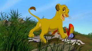 CSUF Lion King pounce morning report