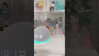 とあるvtuberの前をしようとしたら？#ホロライブ #hololive #風真いろは @kazamairoha #alexa