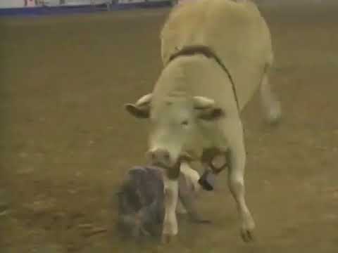 Bodacious Breaks Terry Don's Ribs - 94 RodeoHouston