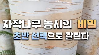 같은 시간을 투자해도 선택 한번이 큰 차이를 가져다 줍니다. 잭큐몬티 도랜보스 2배가치만들기 [JB가든센터_…