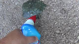 How To Remove Stains From A Asphalt Driveway