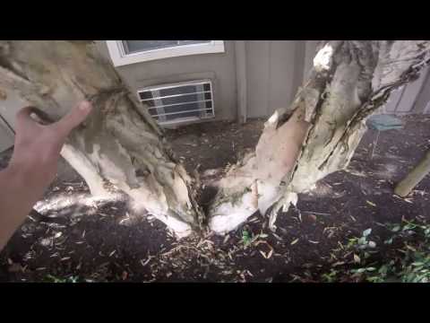 3 Amana PTAC Air Conditioners Running!