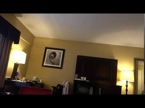 BDMV 146 Aruna & Hari Sharma at BEst Western Plus Hotel 4* Newark NJ Rm 312 May 20, 2019