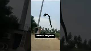 Download lagu PENAMPAKAN NAGA ASLI #shorts mp3