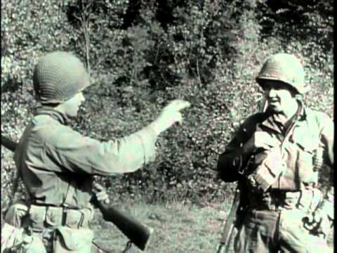 The 29th Division - The Big Picture