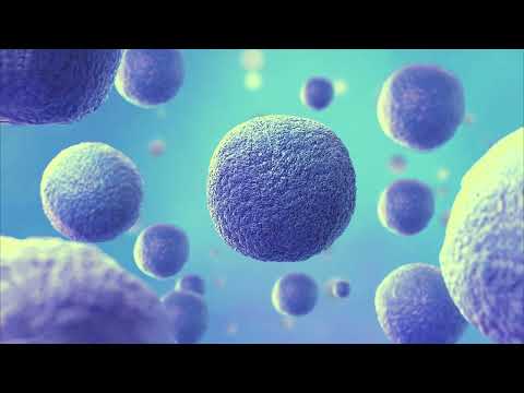 Cells healing - Communicate to your cells and heal your body and mind