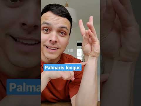 15％の人がこの筋肉を持っていない #ショーツ (15% of people don't have this muscle in their body #shorts)