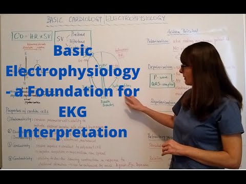Basic Electrophysiology - a Foundation for EKG Interpretation