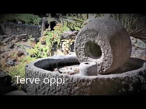 Terve oppi on Jeesuksen Sanat