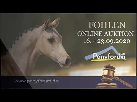 KIELD HF v FS Numero Uno - Be Happy