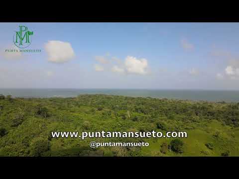 Vista Aérea de Finca Punta Mansueto   Colón