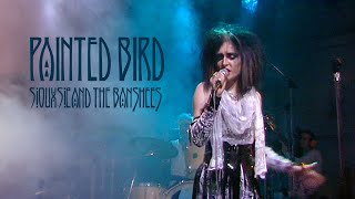 Siouxsie And The Banshees • Painted Bird [HD upgrade]