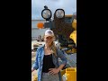 The Most Amazing Swarm of Bees I've Ever Seen