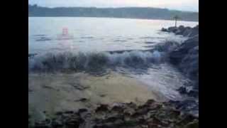 'Oceanic' Video & music by Mel Hayler using Yamaha CS70m - Elka Rhapsody 610
