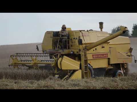 Erntetour 2024 (26.07.2024) - New Holland Clayson 8030 im Weizen (Originalsound)