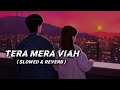 Tera Mera Viah ( Slowed & Reverb ) Jass Manak | Panjabi Lofi Song _Slowed + Lofi