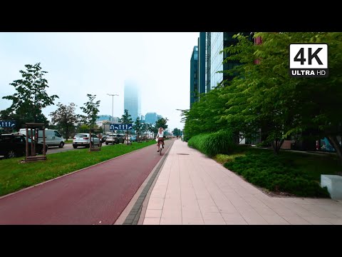 【4K】Foggy Walk in Gdańsk Oliwa | Relaxing City Sounds & ASMR Ambience