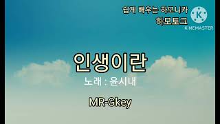 인생이란  윤시내노래 #인생이란