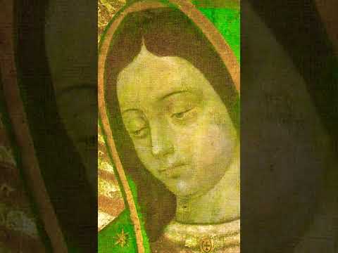 The Miracle of Our Lady of Guadalupe