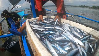 Part 2. 300 Kilo's Aming Huli, Daming mga Batang Pasaway ang Sumalubong sa Amin | BillyAillySeaTV