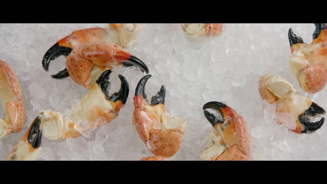 Florida Stone Crabs at Bonefish Grill