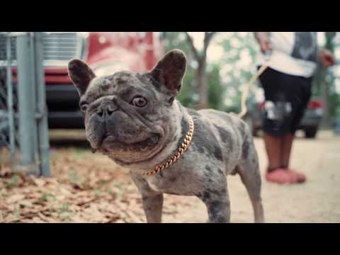 Drake - Toosie Slide (Boney Freestyle)