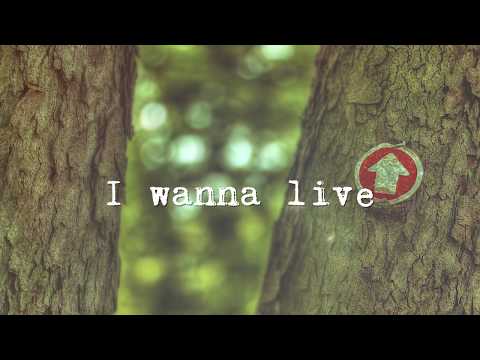 The Right Way - Ron Pope