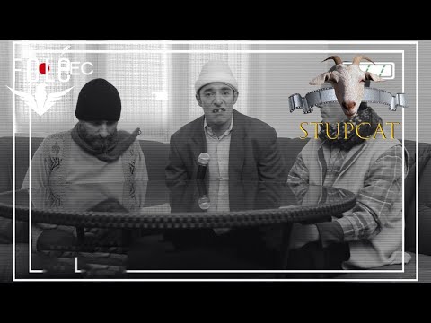 Stupcat 2014 - Beulexi