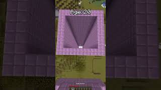 Minecraft PARKOUR at different ages in OHIO (World's Smallest Violin) #shorts