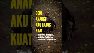 Download lagu story wa Ibu #tiktok #storywa #quotes #virall #ibukusurgaku mp3 Download lagu story wa Ibu #tiktok #storywa #quotes #virall #ibukusurgaku mp3