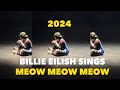 BILLIE EILISH SINGING MEOW MEOW WHAT WAS I MADE FOR ON TOUR Billie Eilish Meow