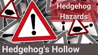 How to protect hedgehogs from hazards found in your garden | Hedgehog