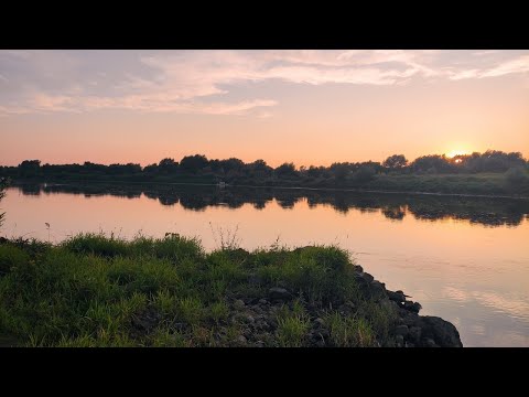 Zawody w wędkowaniu nocnym o,,Puchar X Wieków Sandomierza" Koło nr 37 Koprzywnica.