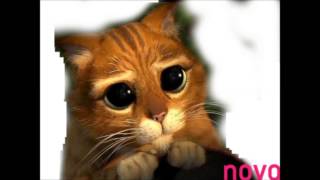 Living Your Dreams/Vive Tus Sueños aqui-Raini Rodriguez/by Raini Rodriguez