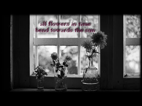 Jeff Buckley & Elizabeth Fraser - All Flowers in Time Bend Towards the Sun (Lyric Video)