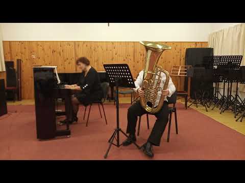 Ocskai Miklós videója