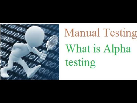 29 What is Alpha testing