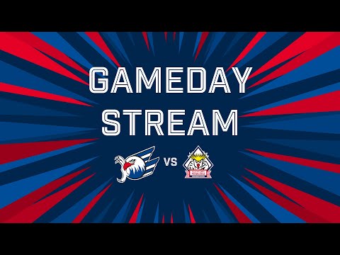 Gameday-Stream: Adler Mannheim VS. Fishtown Pinguins