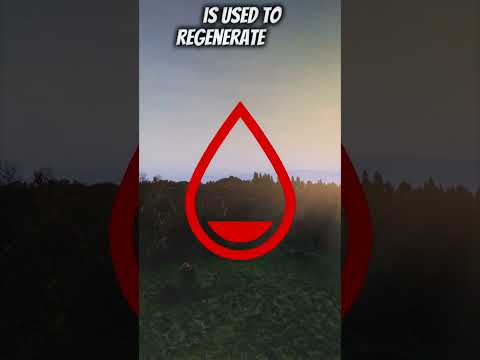 Understanding DayZ's 4 Stats: Hunger, Thirst, Blood & Health