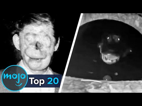 Top 20 Urban Legends That Turned Out to Be True