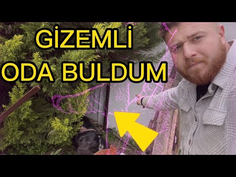 I FOUND A SECRET ROOM ON THE FARM, MICE INVASED!