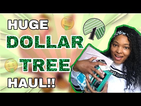 HUGE DOLLAR TREE HAUL!! EVERYTHING IS A $1 OR LESS!!