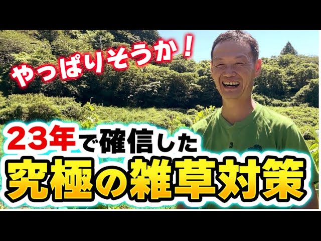 草取り不要になる?究極の雑草対策