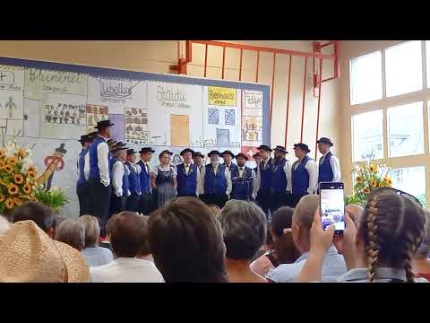 Jodlerklub Bärgfründe Schwarzenberg - z'Alp (Robert Fellmann)