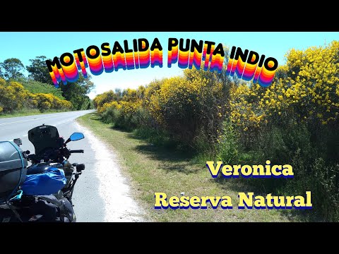 MOTOSALIDA Punta Indio Veronica