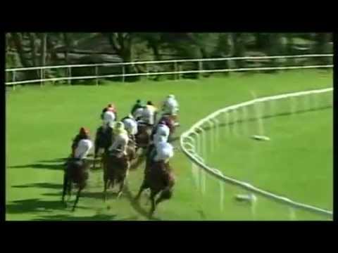 2014.05.25 Veľká jarná cena (Slovenske 2000 Guineas) - Kilword